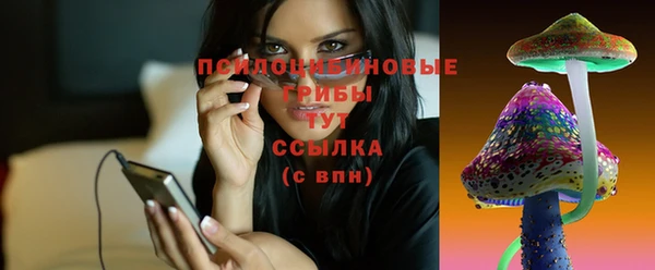 дмт Заволжск