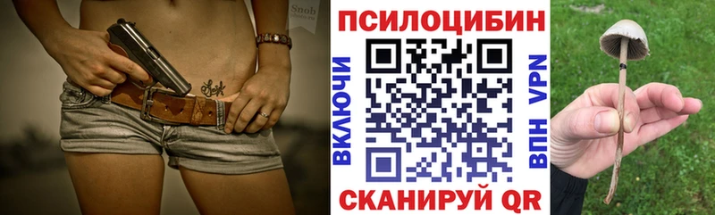 площадка какой сайт продажа наркотиков kraken tor Махачкала Псилоцибиновые грибы мухоморы