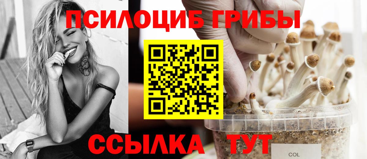 Галлюциногенные грибы мицелий Россия