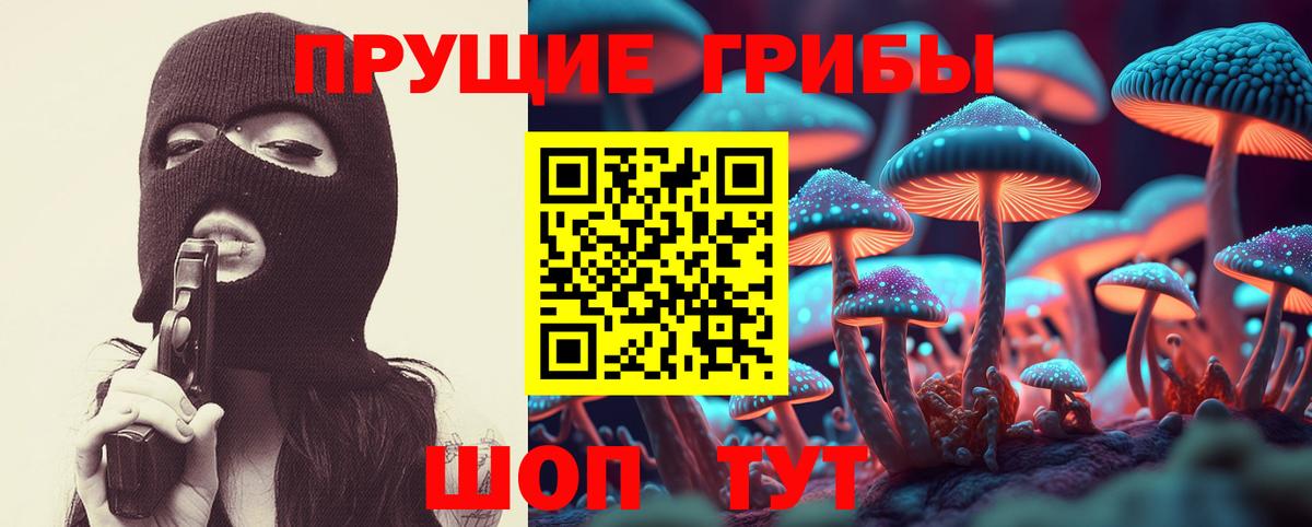 Псилоцибиновые грибы Psilocybine cubensis  Псилоцибиновые грибы Psilocybine cubensis  Россия  Вход с VPN 