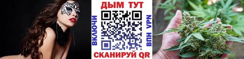 Шишки марихуана семена  shop состав  Махачкала  хочу наркоту 